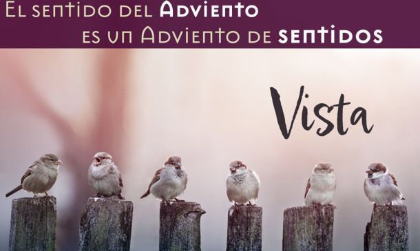 El sentido del Adviento es un Adviento de sentidos. VISTA